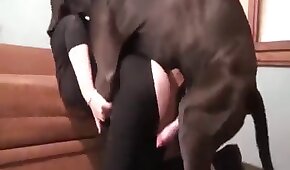 Nego arrombando cu da esposa do amigo - sexo de cachorro,sexo foda animal